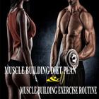 Muscle Building Diet Plan & Excercise icône