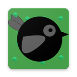 Crow Climb icône