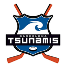 Tsunamis APK