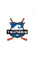 Tsunamis 포스터