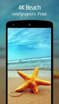 4k海灘桌布安卓下载 安卓版apk 免费下载