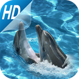 Cute dolphin Live Wallpapers simgesi