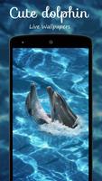 Cute dolphin Live Wallpapers penulis hantaran