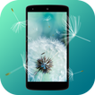 Dandelion 3D Live Wallpaper