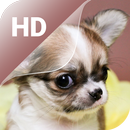 Cute Puppy Live Wallpaper HD APK