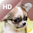 Cute Puppy Live Wallpaper HD ไอคอน