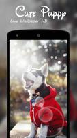 Cute Puppy Live Wallpaper HD स्क्रीनशॉट 2