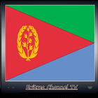 Eritrea Channel TV Info icône