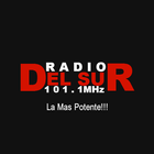 Radio del Sur 101.1 Mhz icon