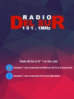 Radio del Sur 101.1 Mhz poster