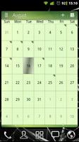 APW Theme Green الملصق