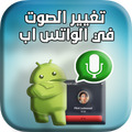تغيير الصوت 2019