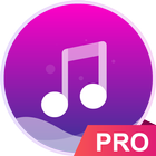 Music player - pro version icône