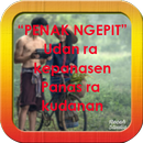 Kumpulan DP Kata Jawa Lucu APK