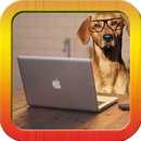 Gambar DP Konyol Kocak APK