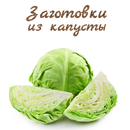 Заготовки из капусты APK