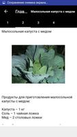 Заготовки из капусты Screenshot 1