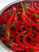 Chili Recipes 截图 2