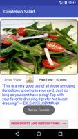 Salads Recipes capture d'écran 3