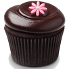 Cupcakes Recipes ! APK