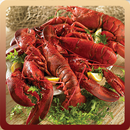 Lobster Recipes APK