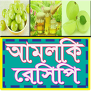 আমলকির নানারকম রেসিপি-APK