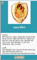 সুস্বাদু ইলিশ রান্না โปสเตอร์