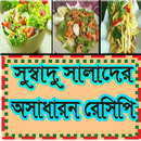 অসাধারন সালাদ রেসিপি-APK