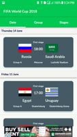 FIFA World Cup 截图 1