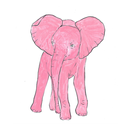 Dita Elefant APK