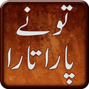 Tu Nay Par Utaara by Nighat Abdullah - Urdu Novel APK