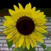 FloralPix APK