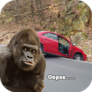 Real Animal Photo Maker APK