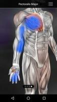 برنامه‌نما Muscle Trigger Point Anatomy عکس از صفحه