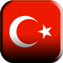 3D Turkey Live Wallpaper APK
