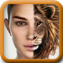 APK Animal Face Morph