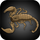Indian Scorpions eGuide APK