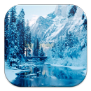 Зимняя радость HD Живые обои APK