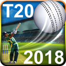 T20 Cricket Games 2018 HD 3D-APK