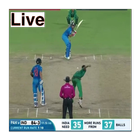 Cricket Tv ícone
