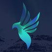 PHOENIX Study أيقونة