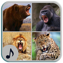 Animal Ringtones APK