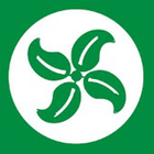 Evergreen InTune icon