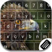 Bird Keyboard Theme