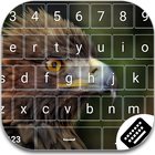 Bird Keyboard Theme icône