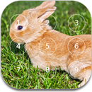 Bunny password Lock Screen APK