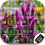 Butterfly Keyboard Theme