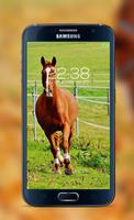 Horse password Lock Screen Affiche