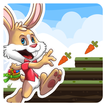 Jungle Bunny Run