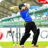 Pakistan Cricket T20 League 2019: Super Sixes 아이콘